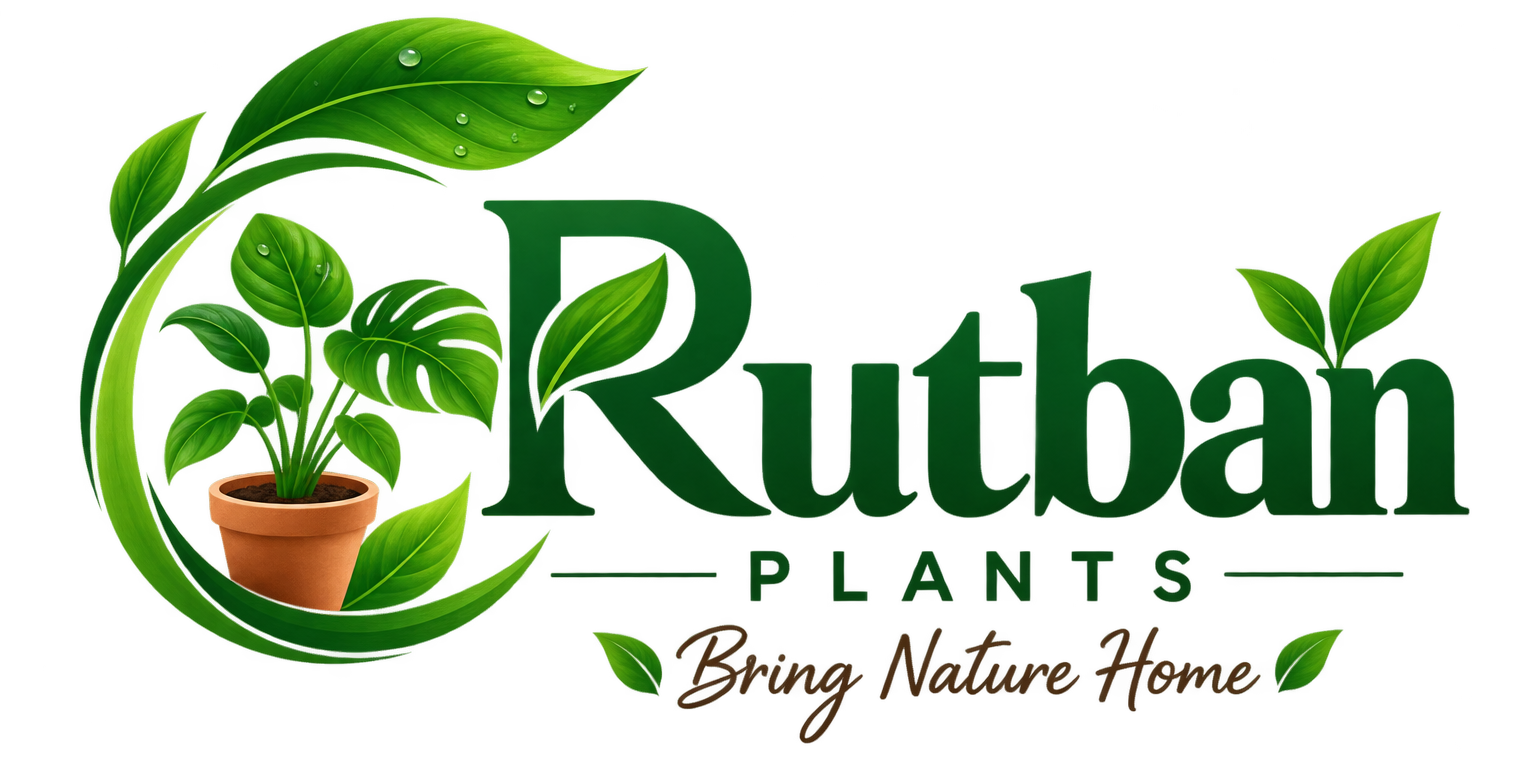 Rutban